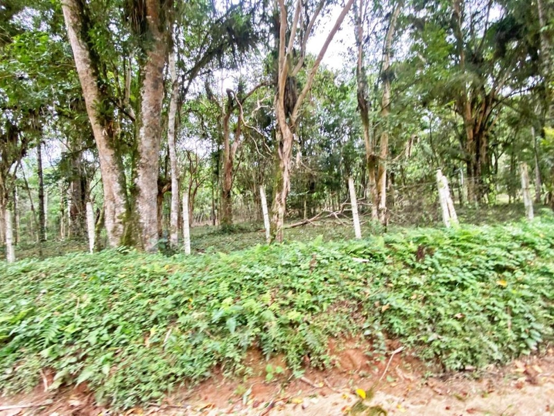 null: 42ª foto da galeria de imagens do imóvel