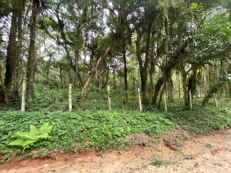 null: 43ª foto da galeria de imagens do imóvel