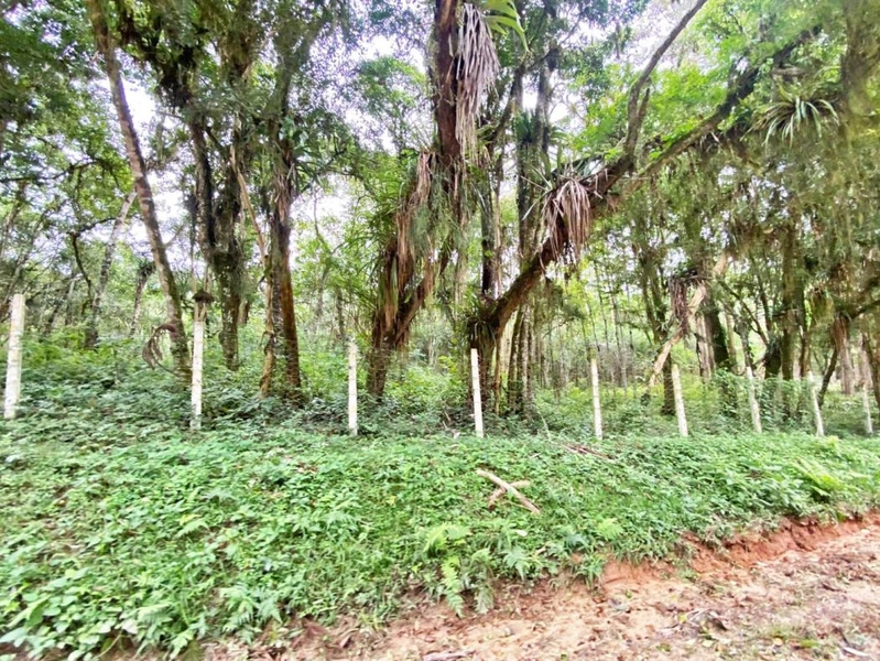 null: 44ª foto da galeria de imagens do imóvel