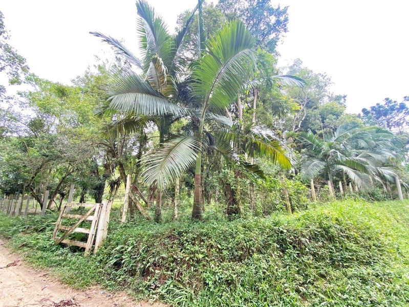 null: 47ª foto da galeria de imagens do imóvel