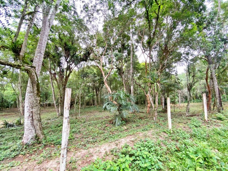 null: 5ª foto da galeria de imagens do imóvel