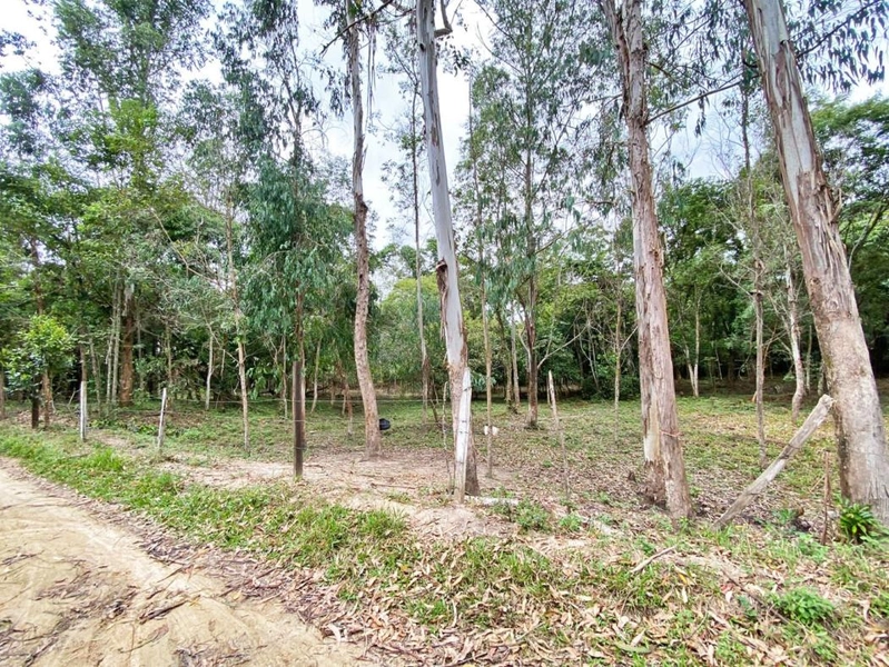 null: 6ª foto da galeria de imagens do imóvel