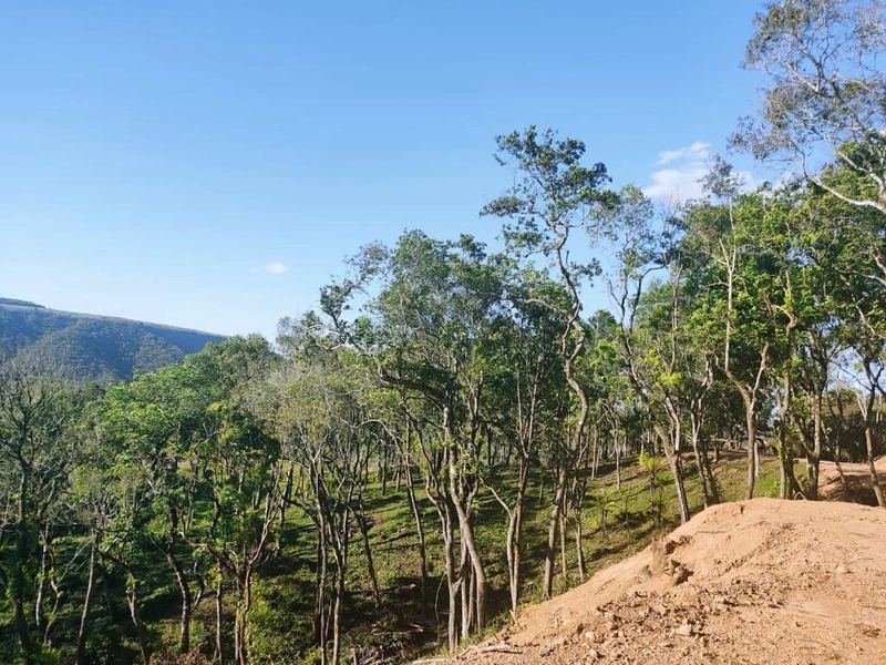 null: 13ª foto da galeria de imagens do imóvel