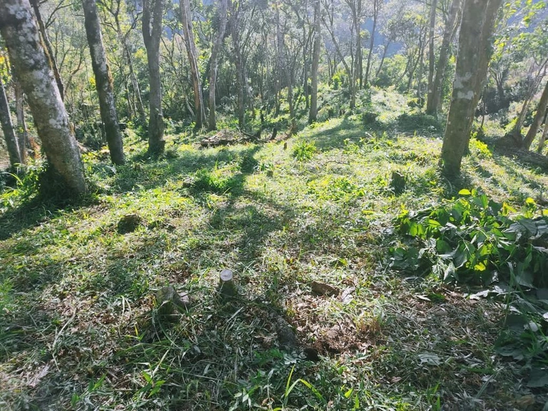 null: 3ª foto da galeria de imagens do imóvel