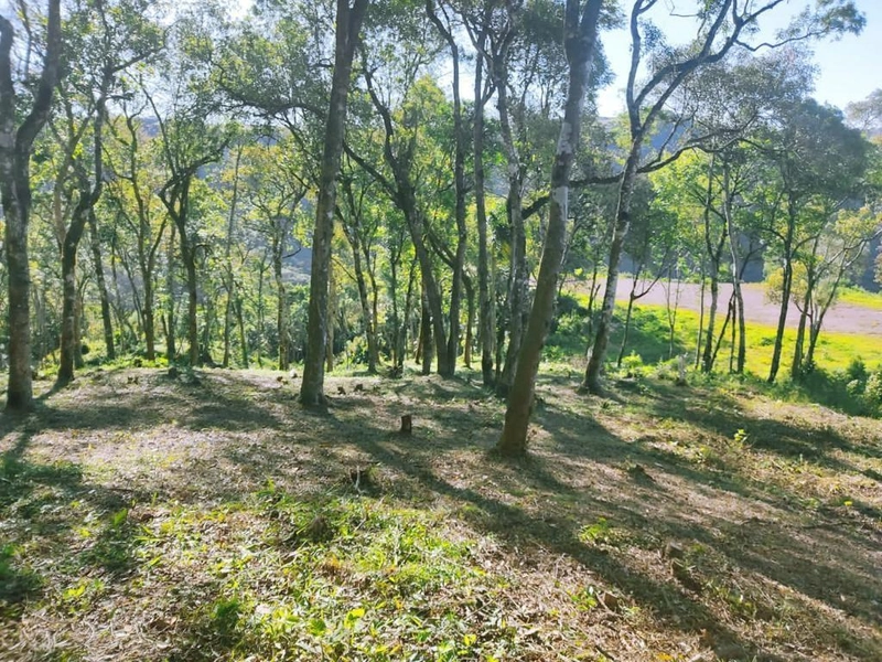 null: 6ª foto da galeria de imagens do imóvel