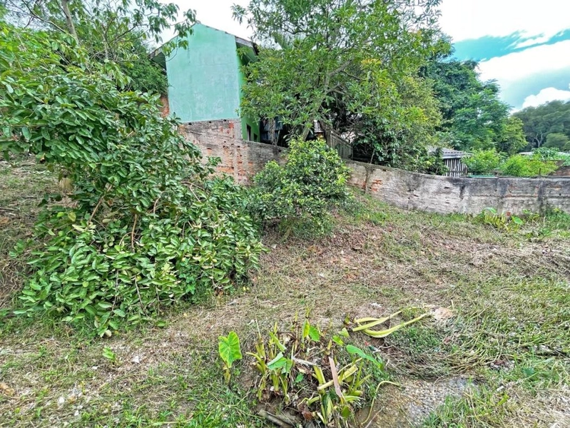 null: 18ª foto da galeria de imagens do imóvel