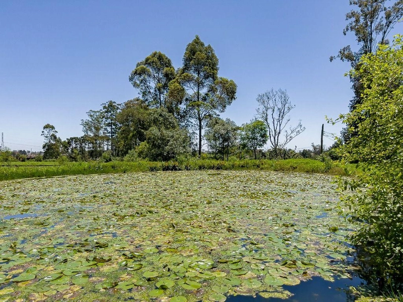 null: 22ª foto da galeria de imagens do imóvel