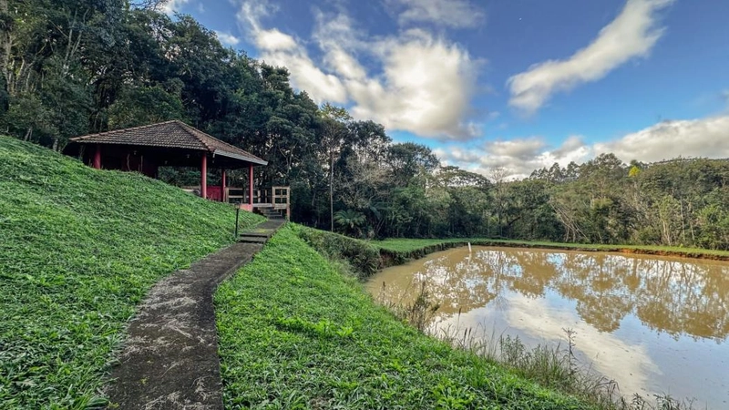 null: 7ª foto da galeria de imagens do imóvel