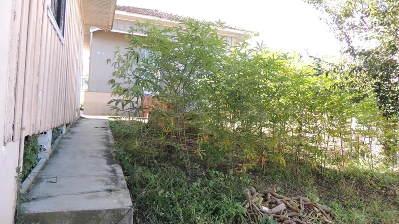 null: 12ª foto da galeria de imagens do imóvel