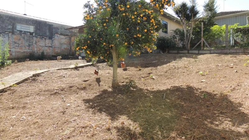 null: 3ª foto da galeria de imagens do imóvel