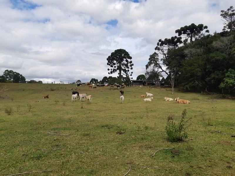 null: 15ª foto da galeria de imagens do imóvel