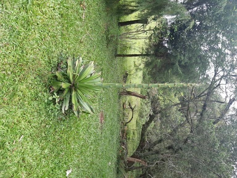 null: 3ª foto da galeria de imagens do imóvel