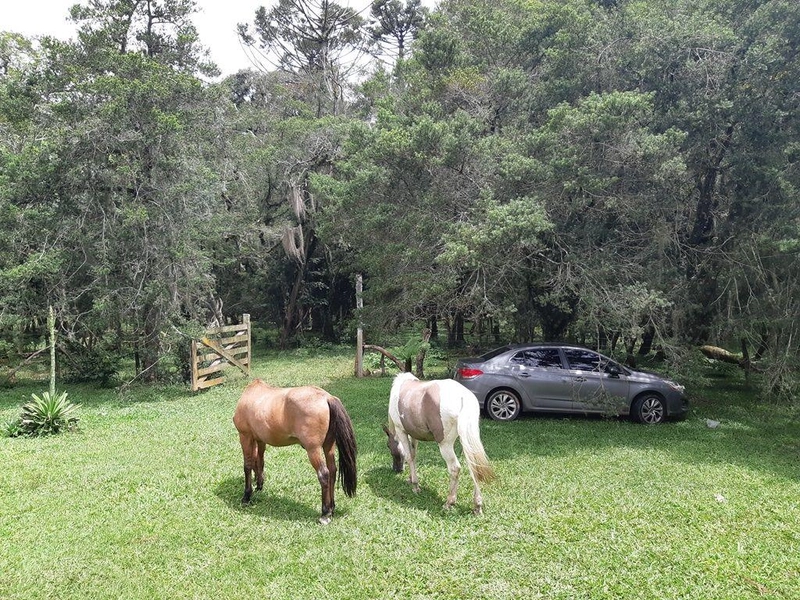 null: 4ª foto da galeria de imagens do imóvel