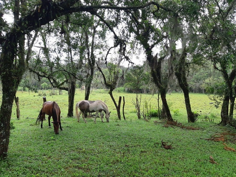 null: 6ª foto da galeria de imagens do imóvel