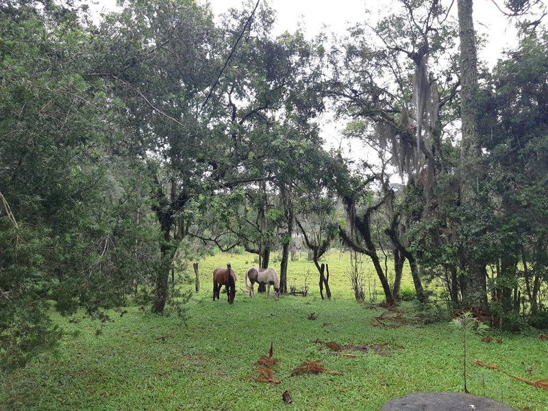 null: 7ª foto da galeria de imagens do imóvel