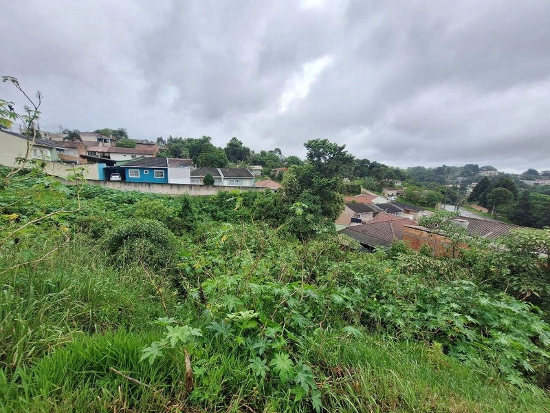 null: 13ª foto da galeria de imagens do imóvel