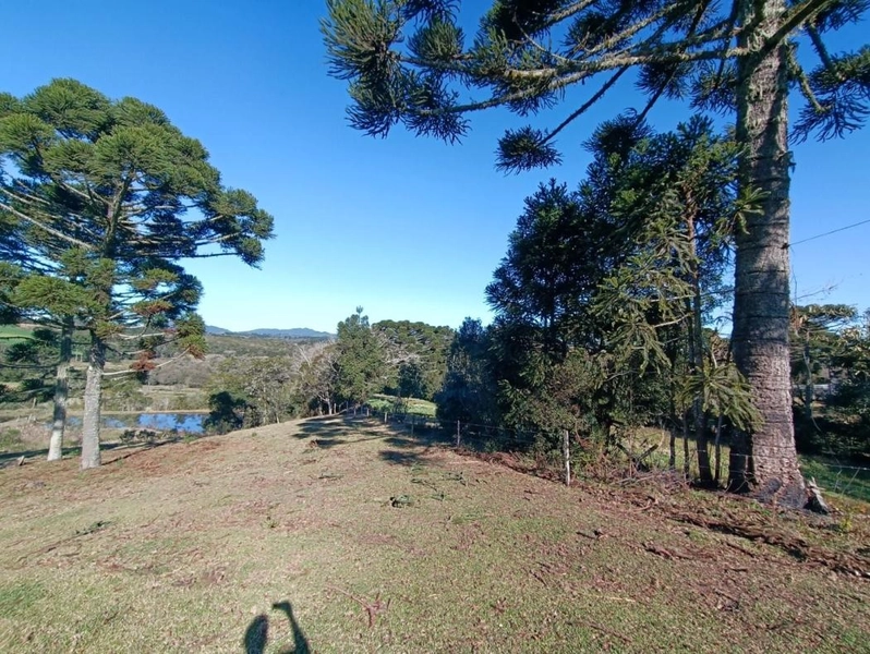 null: 16ª foto da galeria de imagens do imóvel