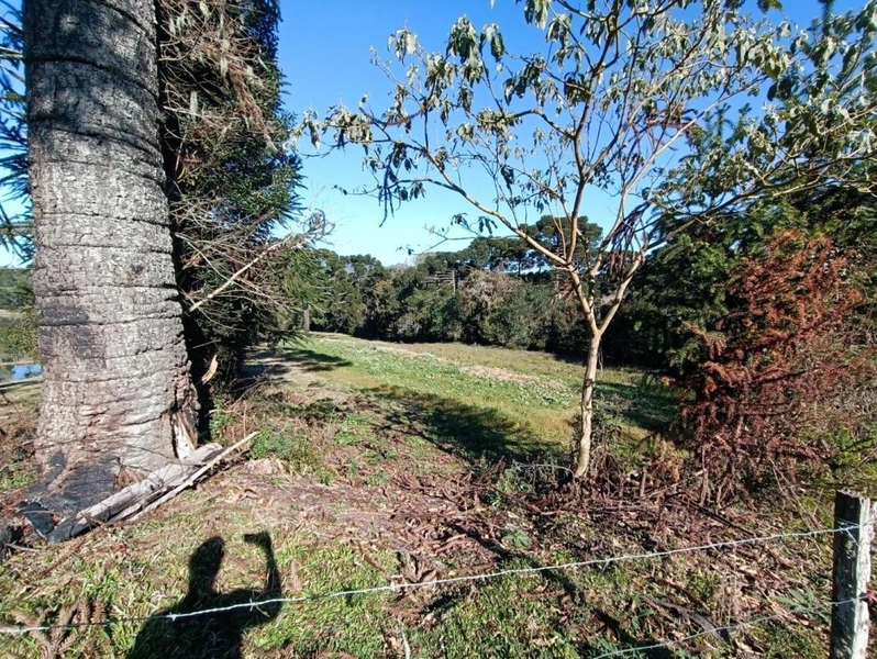 null: 17ª foto da galeria de imagens do imóvel