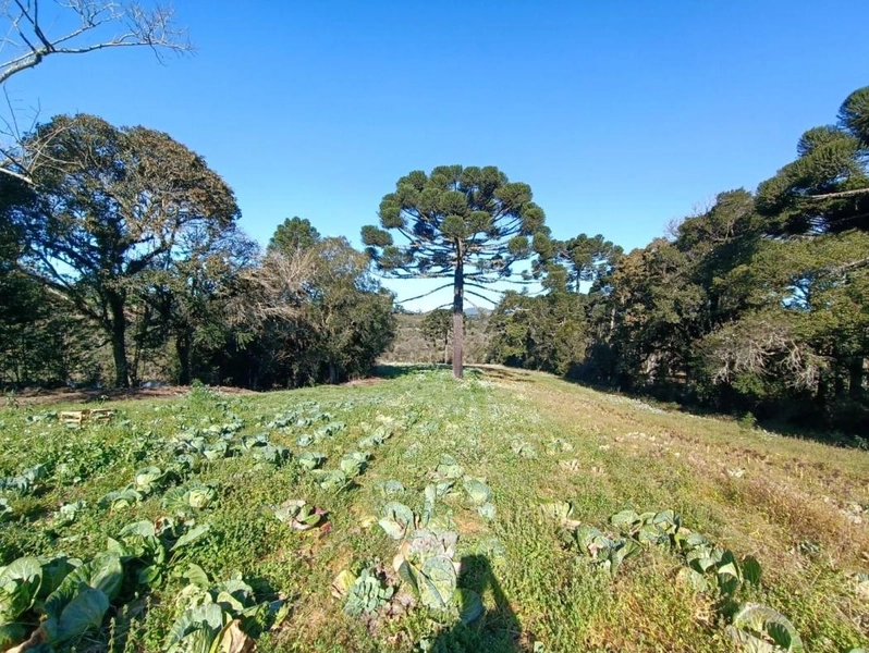 null: 20ª foto da galeria de imagens do imóvel
