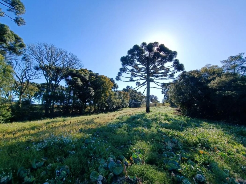 null: 22ª foto da galeria de imagens do imóvel