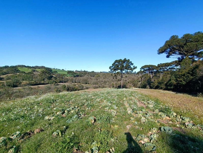 null: 23ª foto da galeria de imagens do imóvel