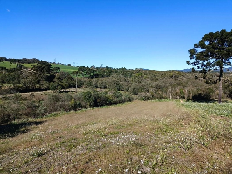 null: 25ª foto da galeria de imagens do imóvel