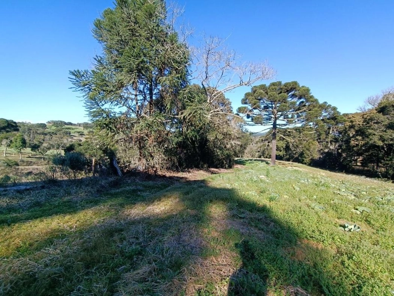 null: 3ª foto da galeria de imagens do imóvel