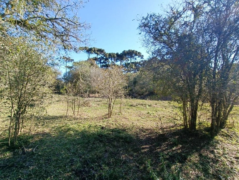 null: 37ª foto da galeria de imagens do imóvel