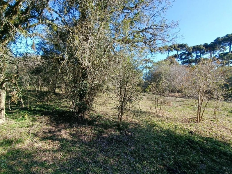 null: 38ª foto da galeria de imagens do imóvel