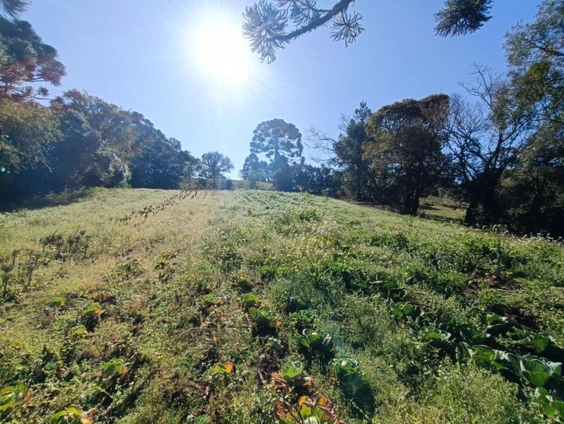 null: 4ª foto da galeria de imagens do imóvel