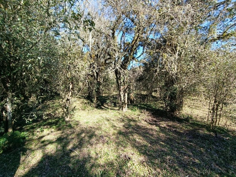 null: 40ª foto da galeria de imagens do imóvel