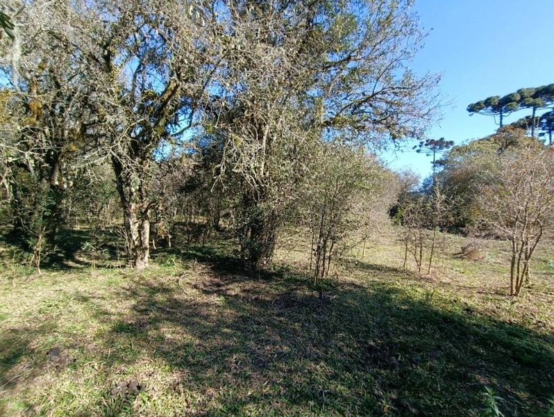 null: 41ª foto da galeria de imagens do imóvel