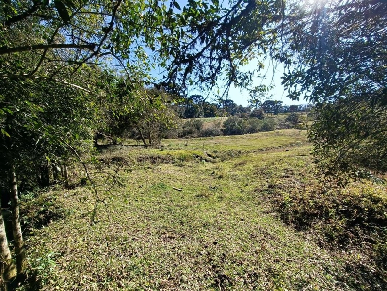 null: 43ª foto da galeria de imagens do imóvel