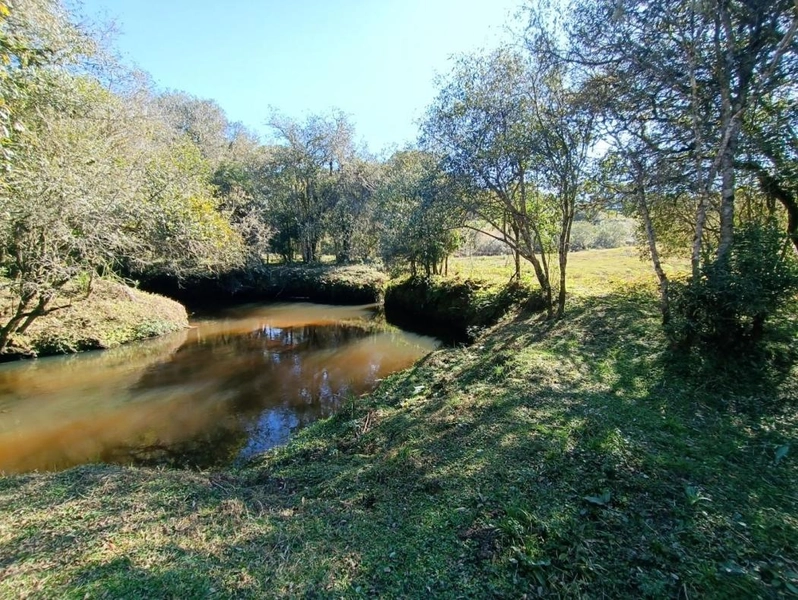 null: 44ª foto da galeria de imagens do imóvel