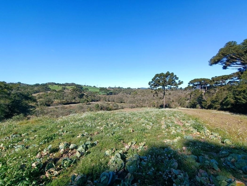 null: 5ª foto da galeria de imagens do imóvel