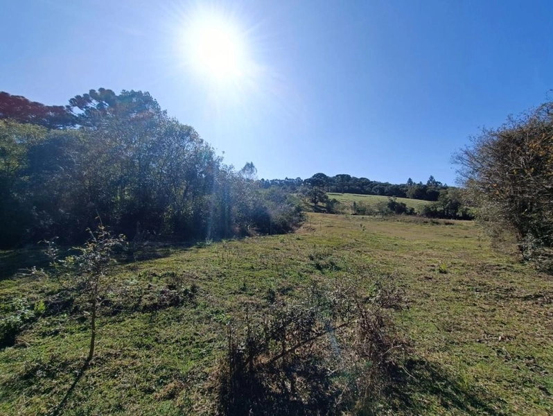 null: 7ª foto da galeria de imagens do imóvel