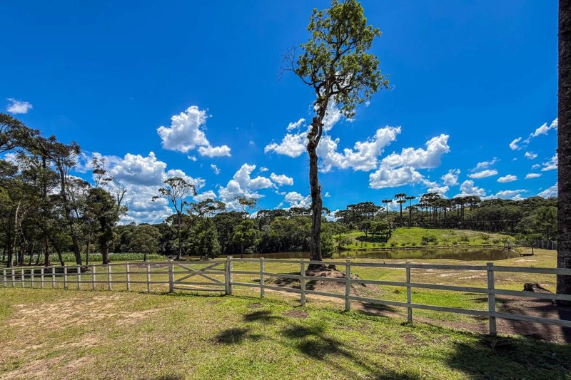 null: 5ª foto da galeria de imagens do imóvel