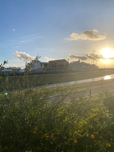 Lote no Alphaville fundo lago : 5ª foto da galeria de imagens do imóvel