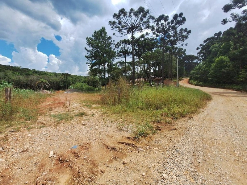 null: 14ª foto da galeria de imagens do imóvel