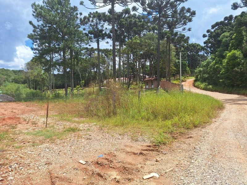 null: 16ª foto da galeria de imagens do imóvel