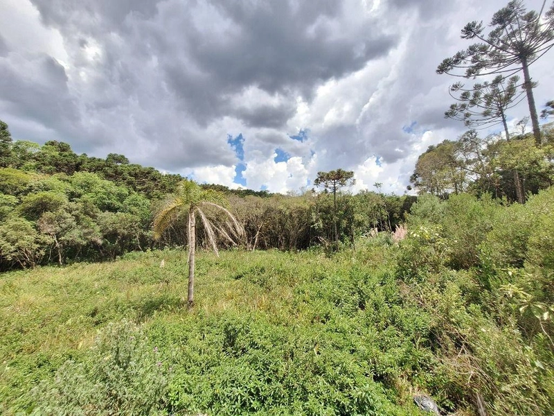 null: 9ª foto da galeria de imagens do imóvel