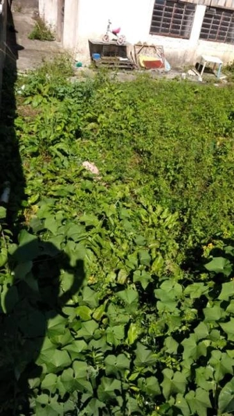 null: 13ª foto da galeria de imagens do imóvel