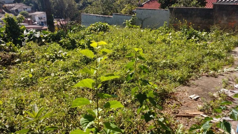 null: 3ª foto da galeria de imagens do imóvel