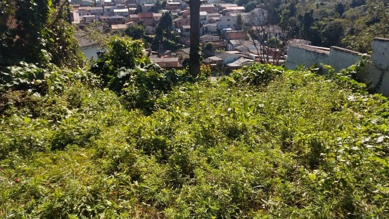 null: 6ª foto da galeria de imagens do imóvel