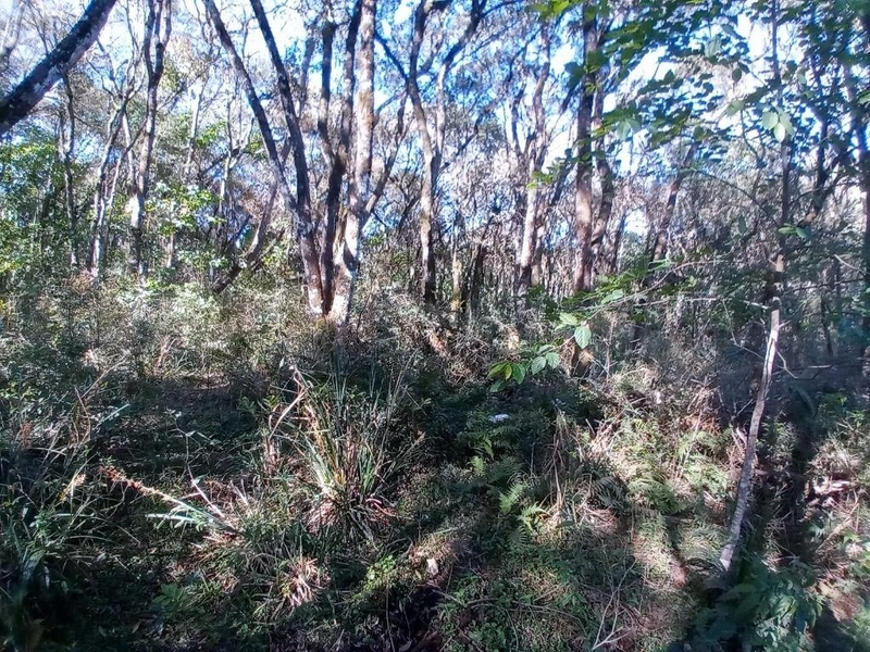 null: 13ª foto da galeria de imagens do imóvel