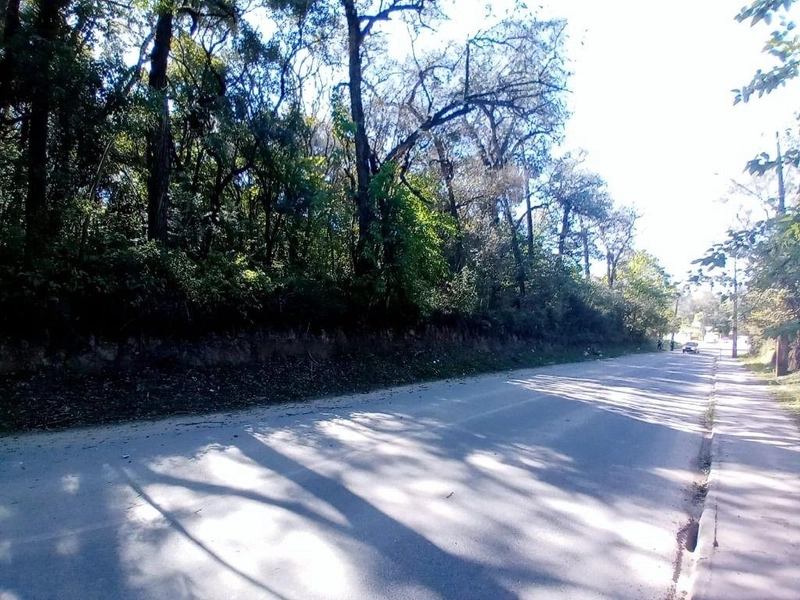 null: 16ª foto da galeria de imagens do imóvel