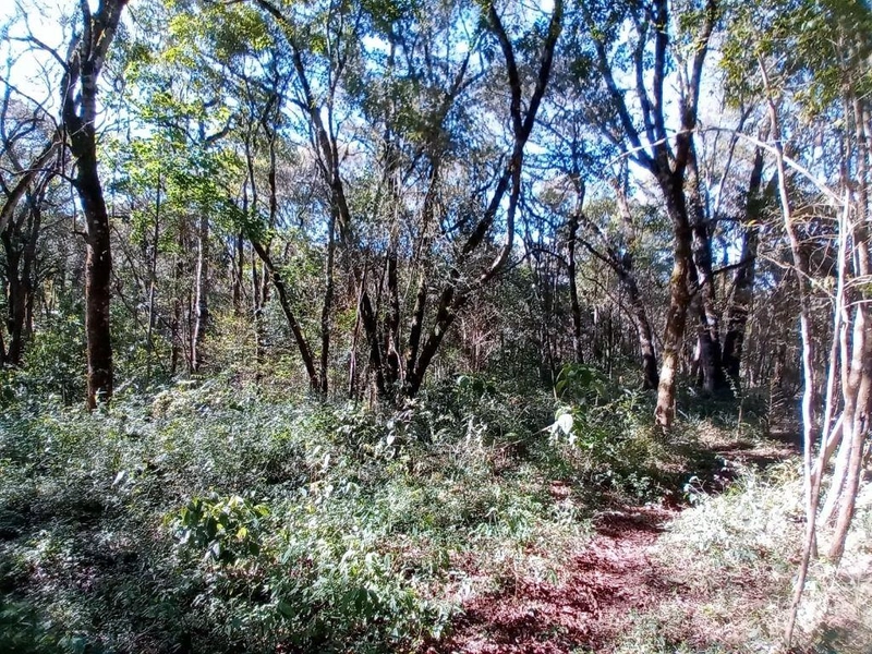 null: 2ª foto da galeria de imagens do imóvel