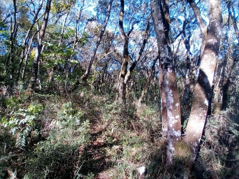 null: 6ª foto da galeria de imagens do imóvel