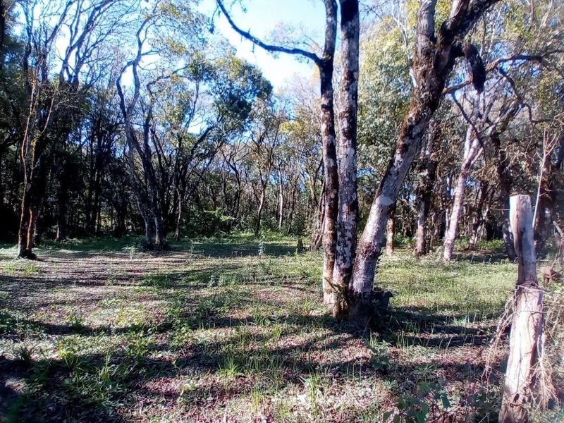 null: 8ª foto da galeria de imagens do imóvel