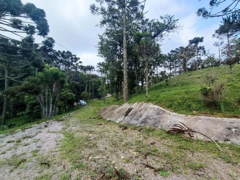 null: 2ª foto da galeria de imagens do imóvel